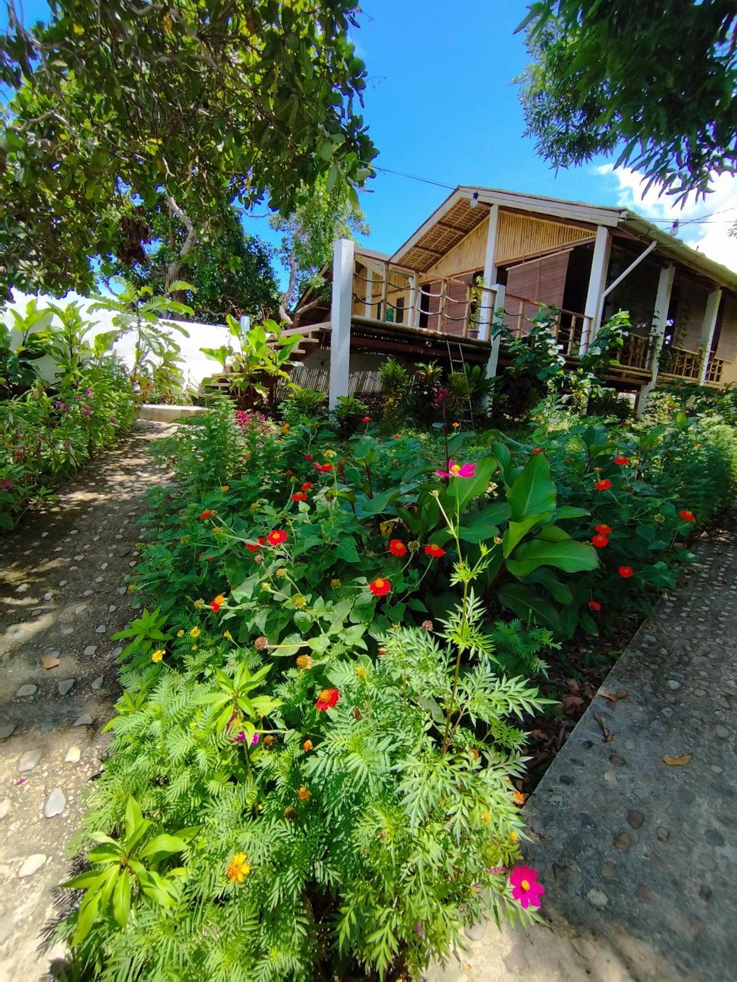Ocean Green Eco Lodge Puerto Princesa Εξωτερικό φωτογραφία