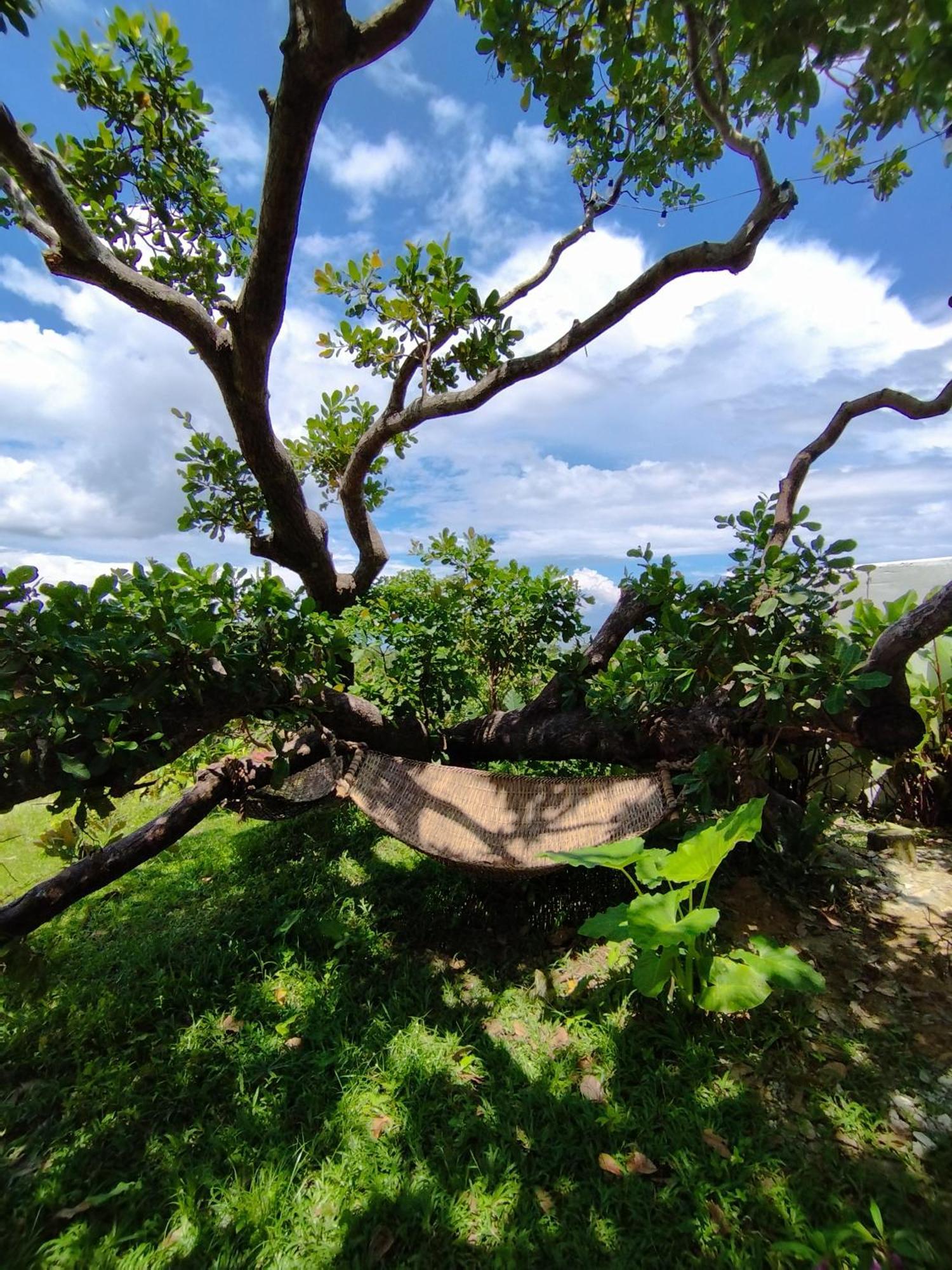 Ocean Green Eco Lodge Puerto Princesa Εξωτερικό φωτογραφία