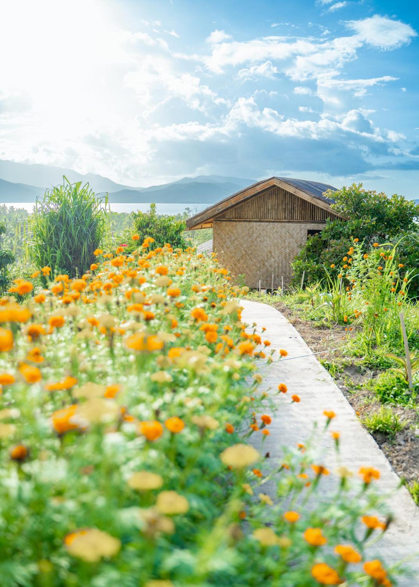 Ocean Green Eco Lodge Puerto Princesa Εξωτερικό φωτογραφία